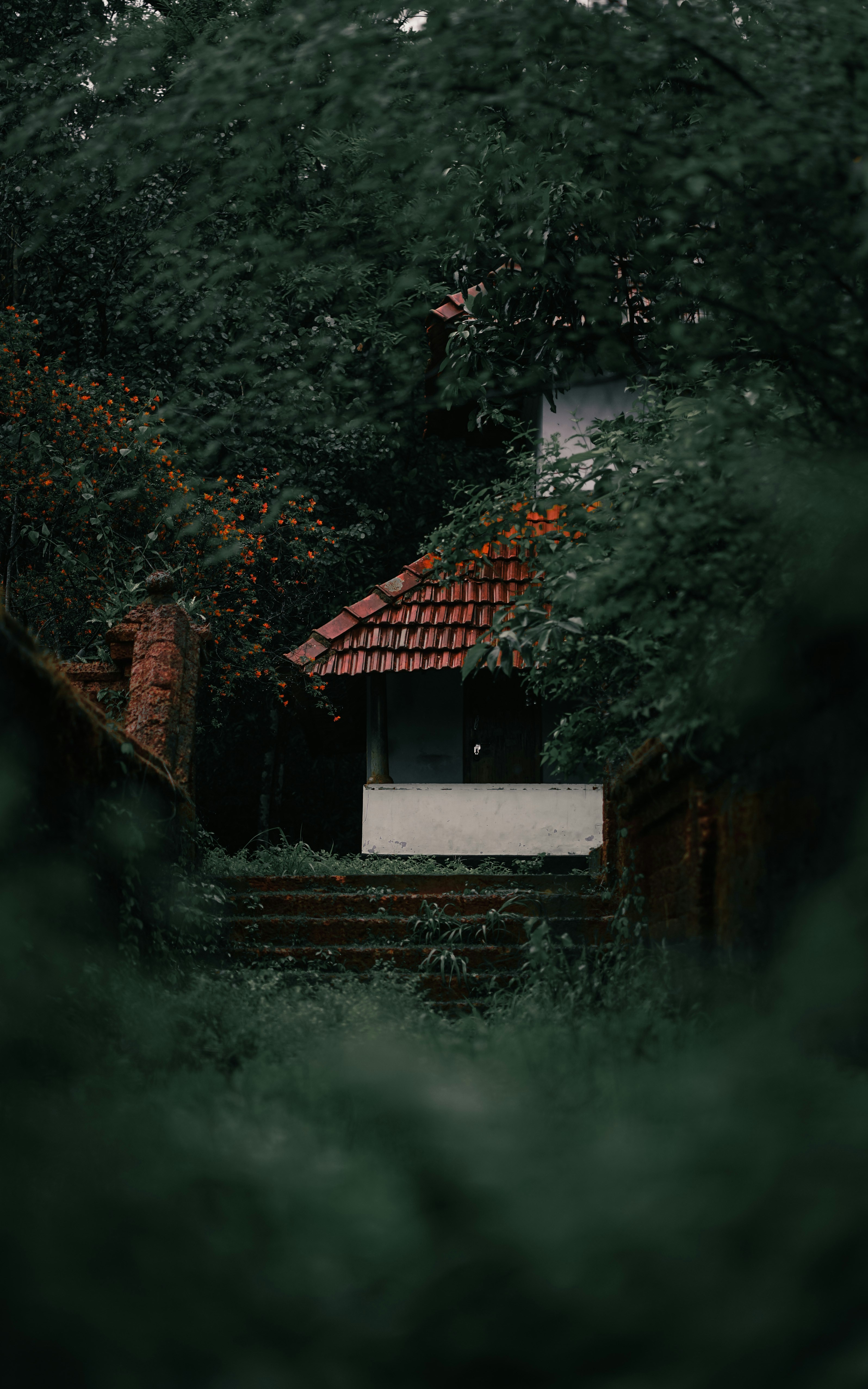 blog